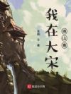 我在大宋搞山寨